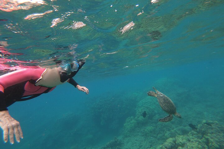 Hanauma Bay Guided Snorkeling Tour with Transportation - Photo 1 of 13